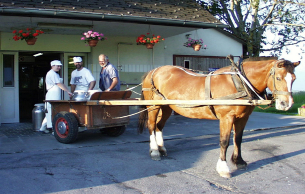 Le lait – transport et commerce